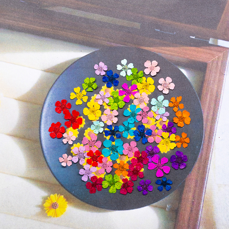 Art And Craft Photos - 96Pcs Mini 1.5cm Natural Pressed Flowers