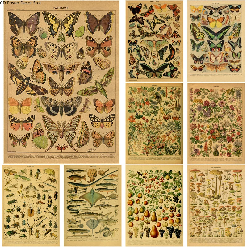 Art Craft Butterfly - Butterfly Insect Flower Mushroom Poster Botanical