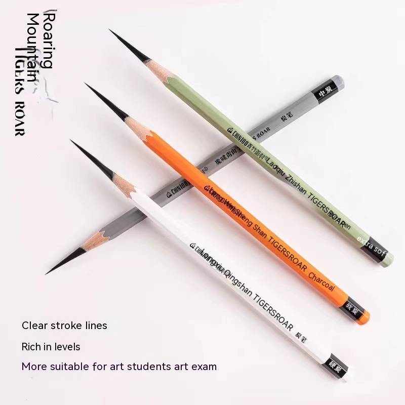 10 Pack Sketch Black Charcoal  - Sketching Charcoal Set avis et prix