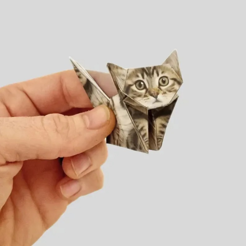 Creative DIY Origami Paper Set - Dinosaur And Craft avis et prix
