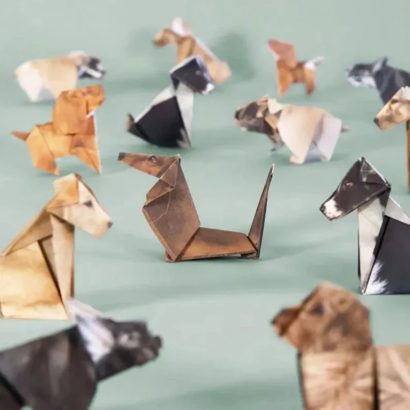 Creative DIY Origami Paper Set - Dinosaur And Craft avis et prix