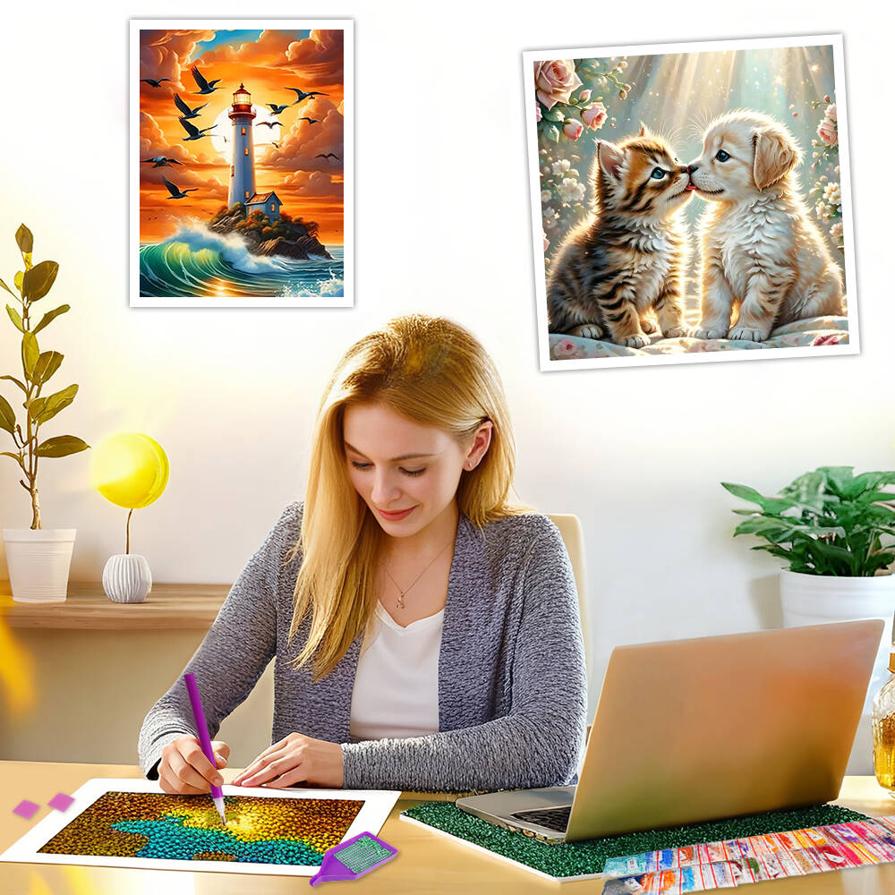 Frameless, DIY 5D Diamond Pain - Art Craft Girl avis et prix