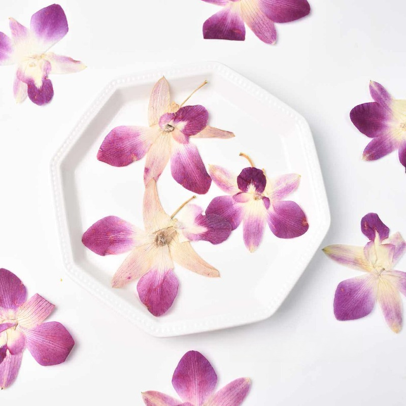 4pcs,Real Pressed Butterfly Or - Art Craft Butterfly avis et prix
