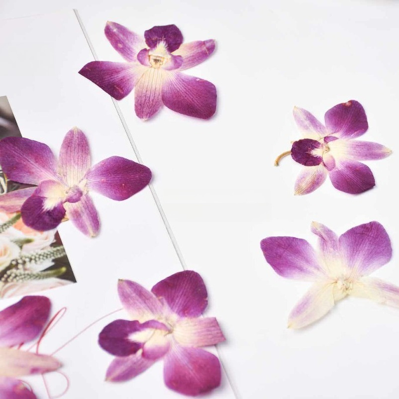 4pcs,Real Pressed Butterfly Or - Art Craft Butterfly avis et prix