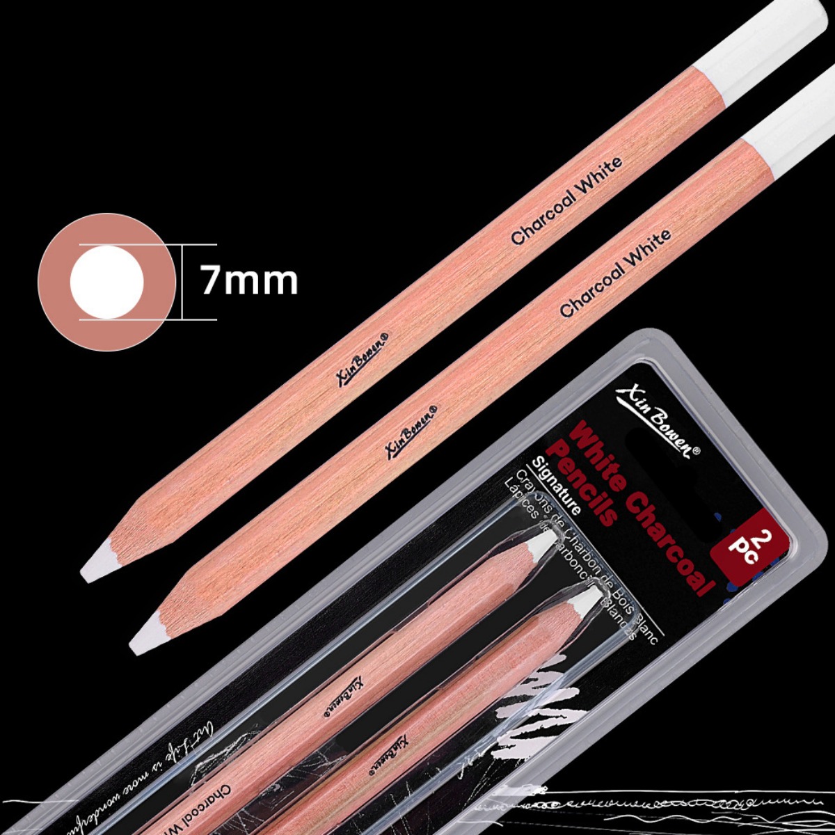 2Pcs/set Thicked Sketching Whi - Sketching Charcoal Set avis et prix