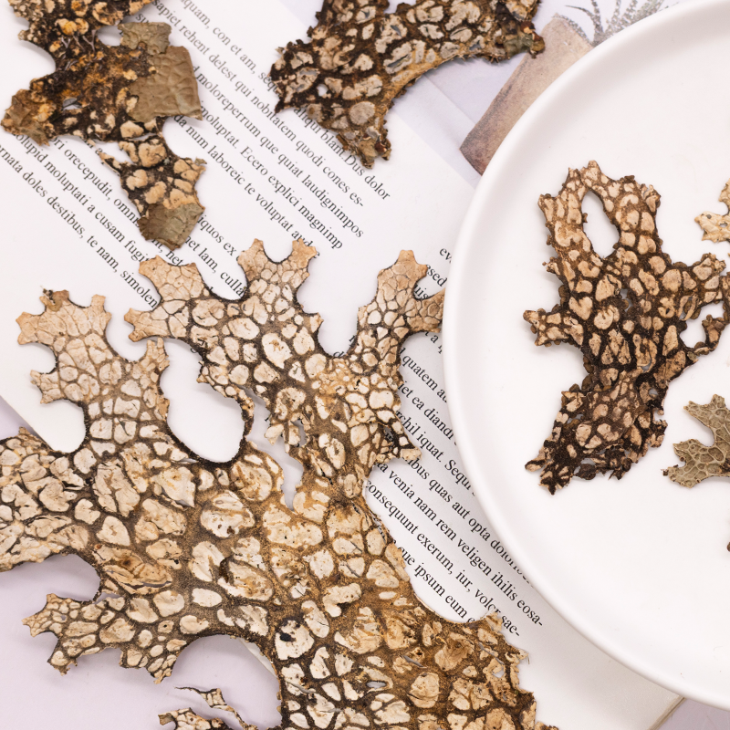 4pcs,Rare Bark Natural Pressed - Art And Craft Photos avis et prix