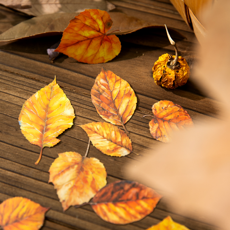 Journal GO 20pcs Golden Autumn - Art And Craft Autumn avis et prix