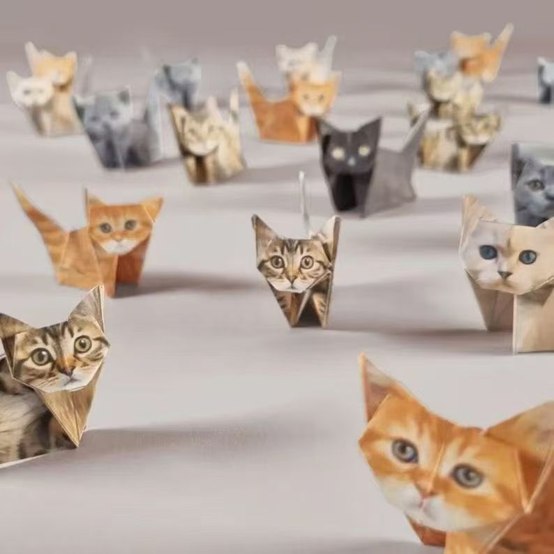 50Pcs 3D Animal DIY Origami Pa - Dinosaur And Craft avis et prix