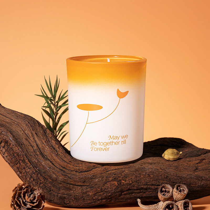 Premium Soy Wax Scented Candle - Soy Candle Fragrance Oil avis et prix