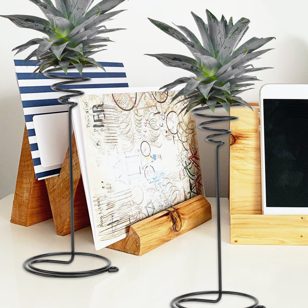 2Pcs Iron Air Plant Tabletop S - Art Craft Room Ideas avis et prix