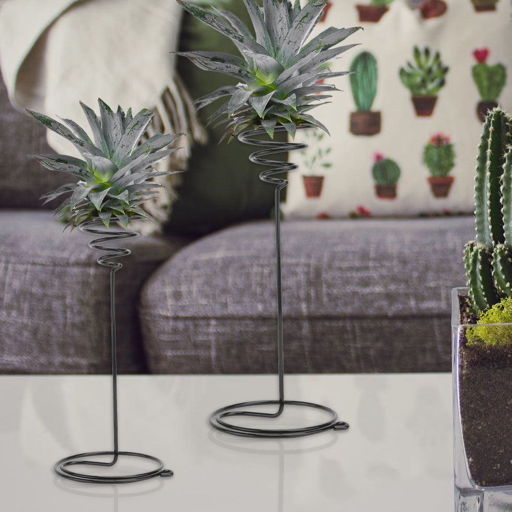 2Pcs Iron Air Plant Tabletop S - Art Craft Room Ideas avis et prix