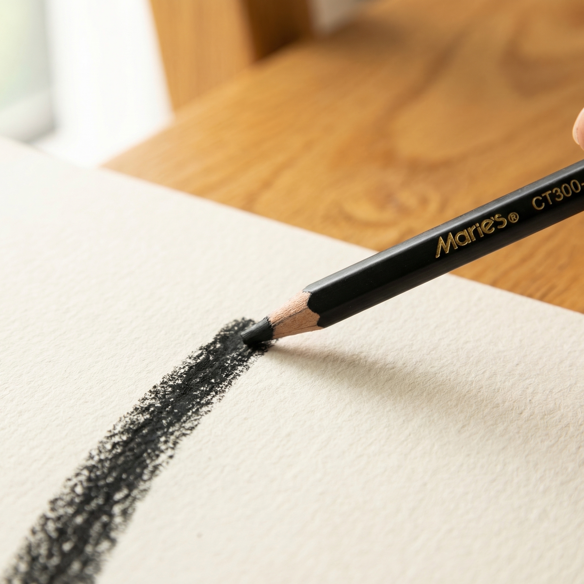Marie's 12pcs Charcoal Pencils - Sketching Charcoal Set avis et prix