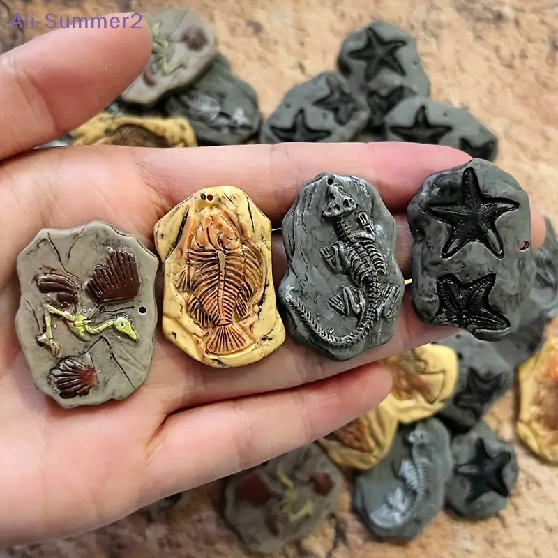 Mini Dinosaur Fossil Model Set - Dinosaur And Craft avis et prix