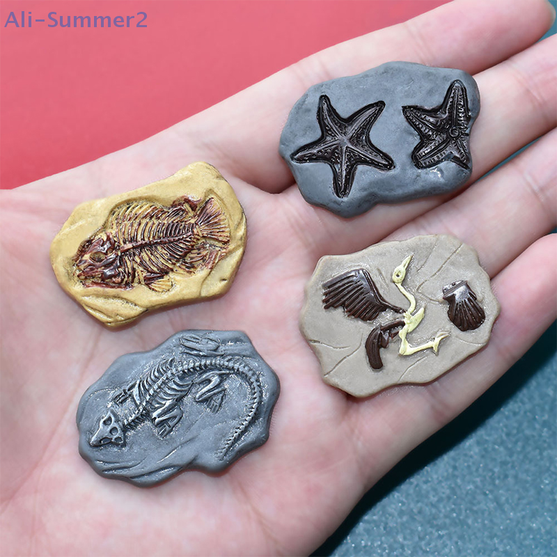 Mini Dinosaur Fossil Model Set - Dinosaur And Craft avis et prix