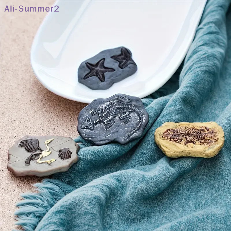 Mini Dinosaur Fossil Model Set - Dinosaur And Craft avis et prix