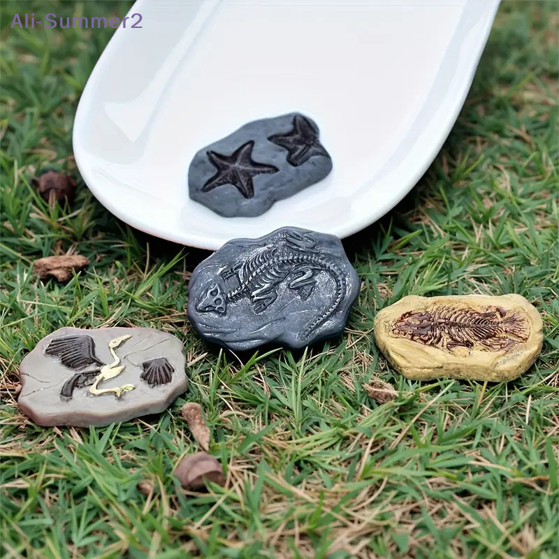 Mini Dinosaur Fossil Model Set - Dinosaur And Craft avis et prix