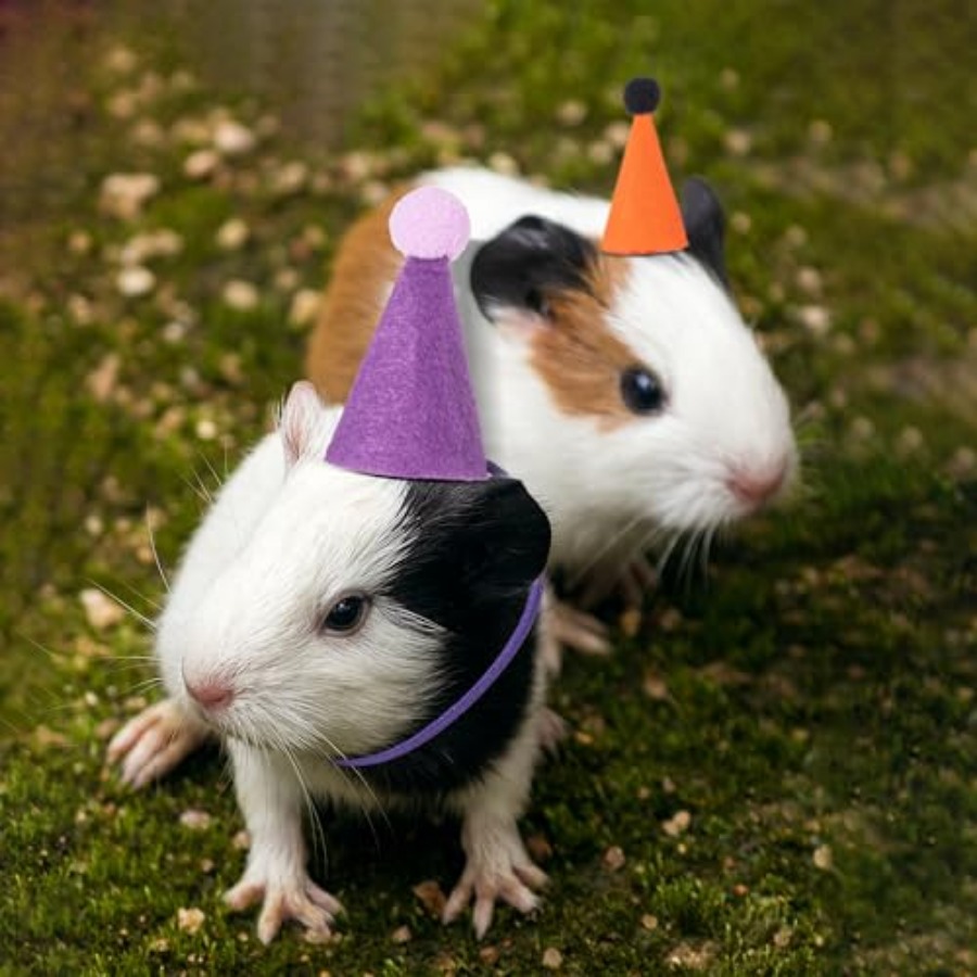 Mini Party Hats for Stuffed An - Dinosaur And Craft avis et prix