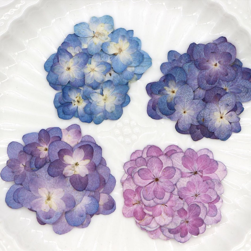 60Pcs Mini Double-Flowered Hyd - Art And Craft Photos avis et prix