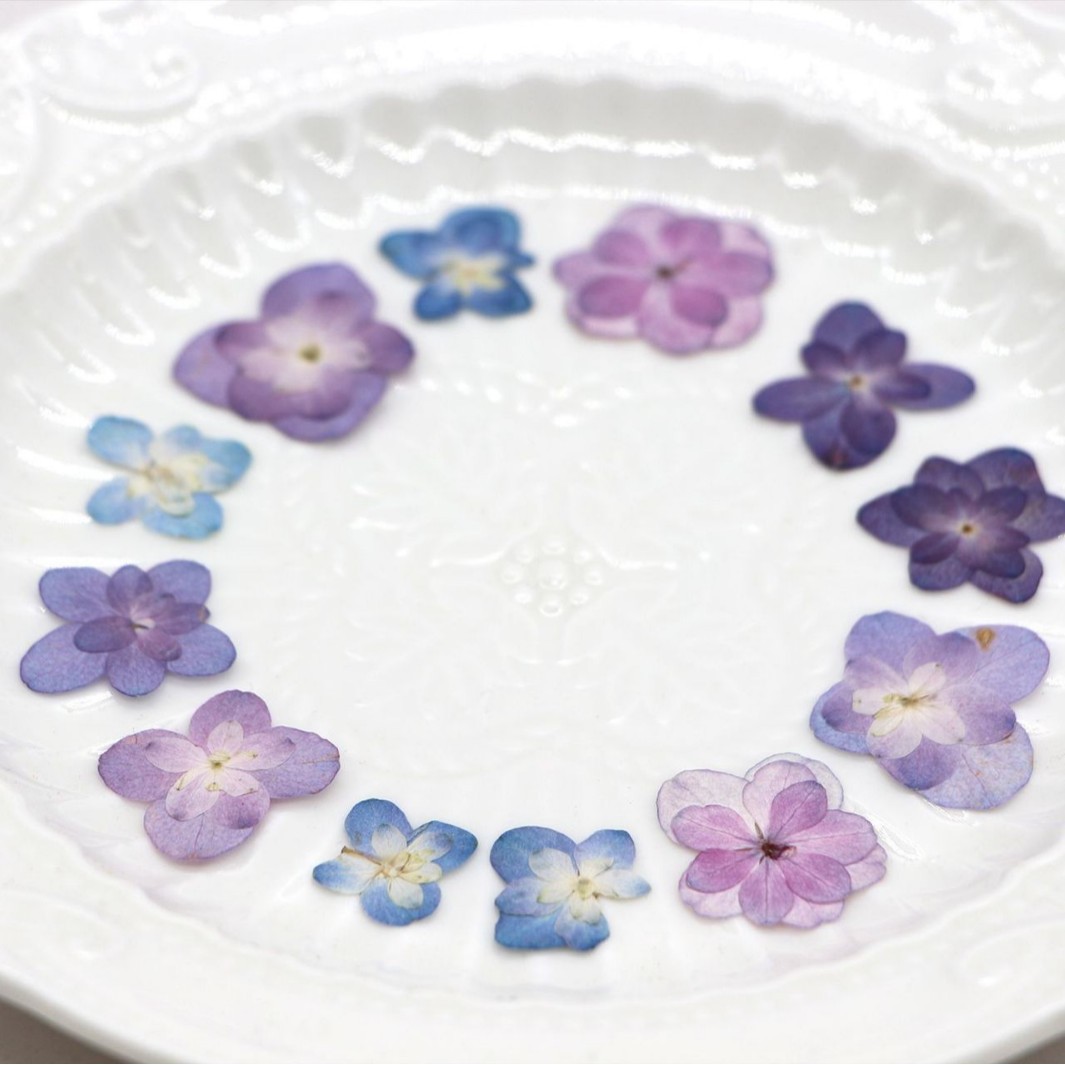 60Pcs Mini Double-Flowered Hyd - Art And Craft Photos avis et prix