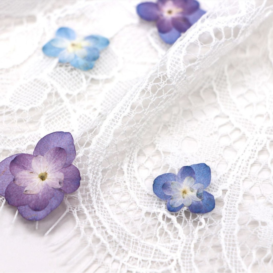 60Pcs Mini Double-Flowered Hyd - Art And Craft Photos avis et prix